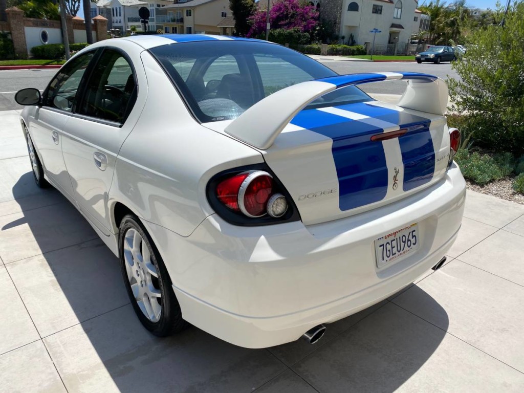 2005 Dodge Neon SRT-4 Commemorative Edition for sale 3
