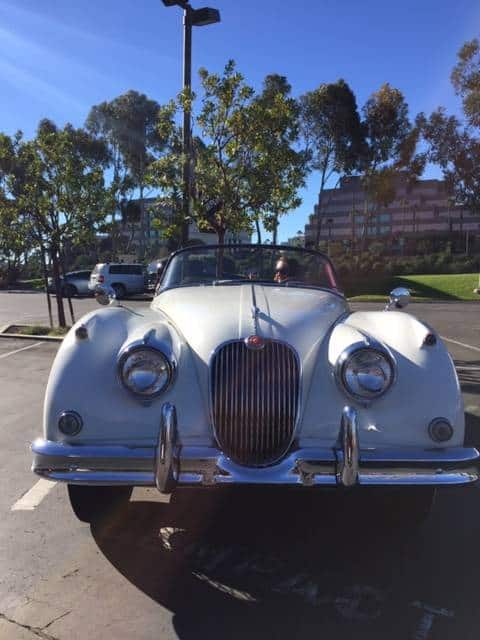 1959 jaguar xk150 xk 150 dhc drop head coupe for sale classifieds 6