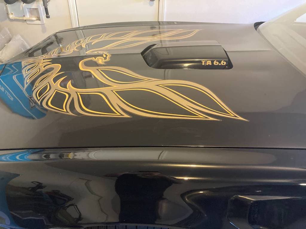 1977 pontiac firebird trans am 4spd manual w72 black gold for sale classifieds 1